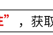 大发官网|大发体育|大发娱乐场|dafabet中国|大发体育官方网站|www.dfa678.com-参加两会的4位明星，个个口碑好，这才是文艺工作者该有的样子！